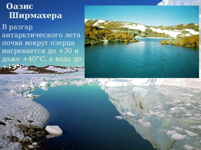 Оазис  Ширмахера В разгар антарктического лета почва вокруг озерца нагревается до +30 и даже +40°С, а вода до +15°С 
