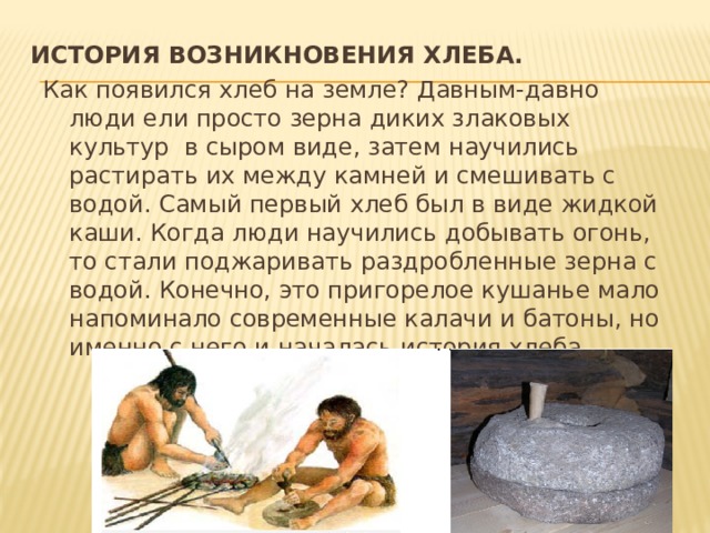 История возникновения хлеба.    Как появился хлеб на земле? Давным-давно люди ели просто зерна диких злаковых культур в сыром виде, затем научились растирать их между камней и смешивать с водой. Самый первый хлеб был в виде жидкой каши. Когда люди научились добывать огонь, то стали поджаривать раздробленные зерна с водой. Конечно, это пригорелое кушанье мало напоминало современные калачи и батоны, но именно с него и началась история хлеба.  