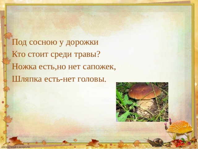 Под сосною у дорожки Кто стоит среди травы? Ножка есть,но нет сапожек, Шляпка есть-нет головы. 