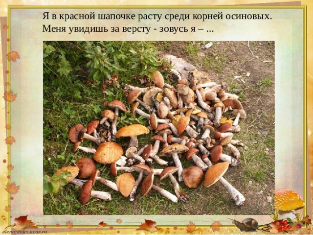 Я в красной шапочке расту среди корней осиновых.  Меня увидишь за версту - зовусь я – ... 5/4/21  