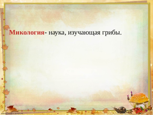 Микология - наука, изучающая грибы. 