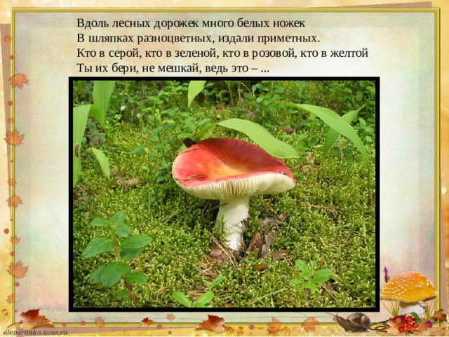 Вдоль лесных дорожек много белых ножек  В шляпках разноцветных, издали приметных.  Кто в серой, кто в зеленой, кто в розовой, кто в желтой  Ты их бери, не мешкай, ведь это – ... 5/4/21  