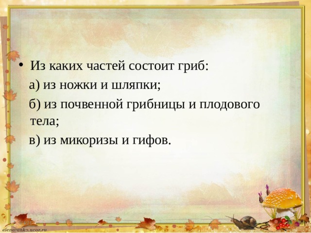 Из каких частей состоит гриб:  а) из ножки и шляпки;  б) из почвенной грибницы и плодового тела;  в) из микоризы и гифов. 5/4/21  