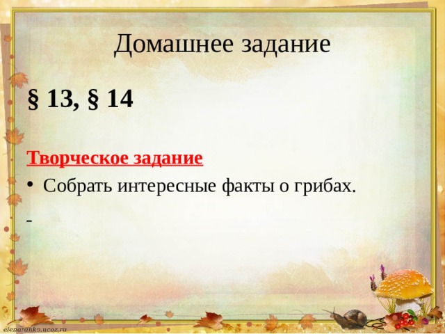 Домашнее задание § 13, § 14 Творческое задание Собрать интересные факты о грибах.  