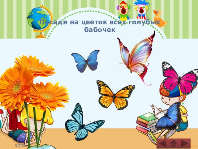 Посади на цветок всех голубых бабочек   