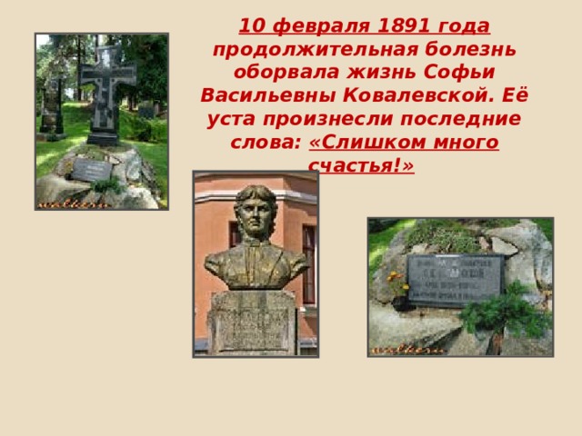 10 февраля 1891 года продолжительная болезнь оборвала жизнь Софьи Васильевны Ковалевской. Её уста произнесли последние слова: «Слишком много счастья!»  