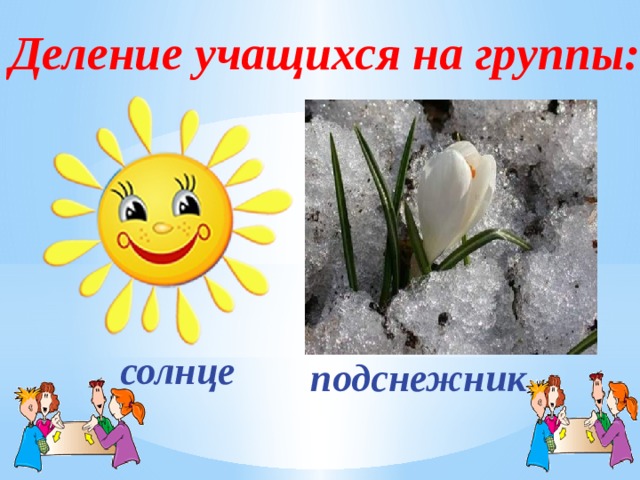 Деление учащихся на группы: солнце подснежник 