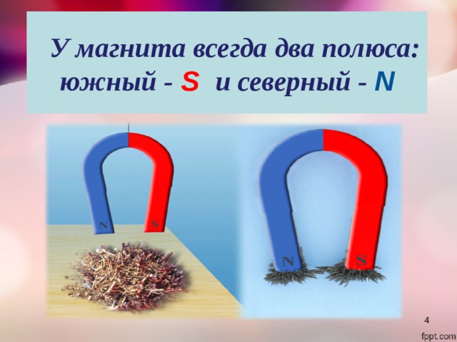  У магнита всегда два полюса:  южный -  S  и северный - N  