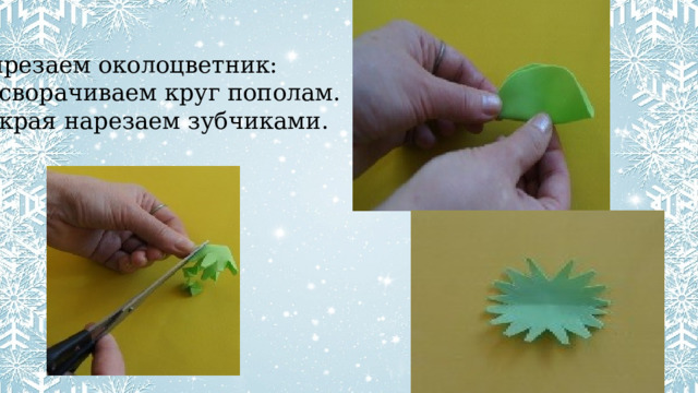 Вырезаем околоцветник: -- сворачиваем круг пополам. -- края нарезаем зубчиками. 