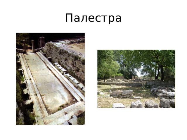 Палестра 