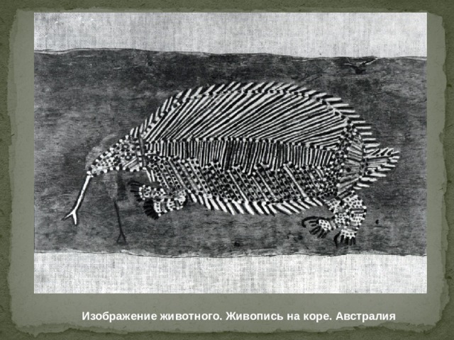 Изображение животного. Живопись на коре. Австралия 
