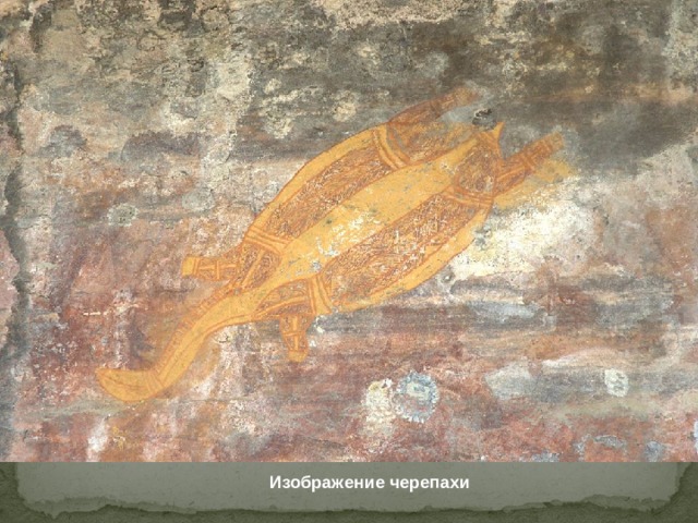 Изображение черепахи 