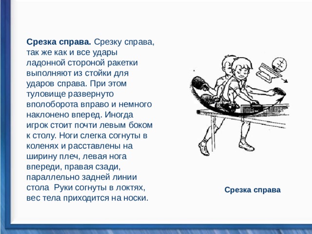 Срезка справа. Срезку справа, так же как и все удары ладонной стороной ракетки выполняют из стойки для ударов справа. При этом туловище развернуто вполоборота вправо и немного наклонено вперед. Иногда игрок стоит почти левым боком к столу. Ноги слегка согнуты в коленях и расставлены на ширину плеч, левая нога впереди, правая сзади, параллельно задней линии стола Руки согнуты в локтях, вес тела приходится на носки. .                                    Срезка справа  