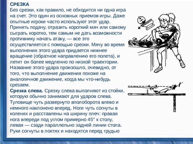 СРЕЗКА Без срезки, как правило, не обходится ни одна игра на счет. Это один из основных приемов игры. Даже опытные игроки часто используют этот удар. Принять подачу, отразить короткий мяч или самому сыграть коротко, тем самым не дать возможности противнику начать атаку, — все это осуществляется с помощью срезки. Мячу во время выполнения этого удара придается нижнее вращение (обратное направлению его полета), и летит он более медленно по низкой траектории. Название этого удара произошло, очевидно, от того, что выполнение движения похоже на аналогичное движение, когда мы что-нибудь срезаем. Срезка слева. Срезку слева выполняют из стойки, которую обычно занимают для ударов слева. Туловище чуть развернуто вполоборота влево и немного наклонено вперед. Ноги чуть согнуты в коленях и расставлены на ширину плеч: правая нога впереди под углом примерно 45° к столу, левая — сзади параллельно задней линии стола. Руки согнуты в локтях и находятся перед грудью 