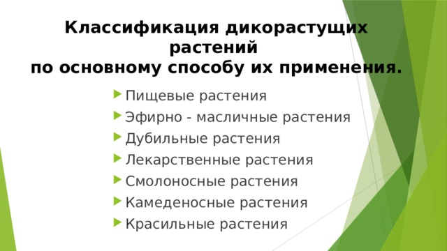 Классификация дикорастущих растений  по основному способу их применения. Пищевые растения Эфирно - масличные растения Дубильные растения Лекарственные растения Смолоносные растения Камеденосные растения Красильные растения 