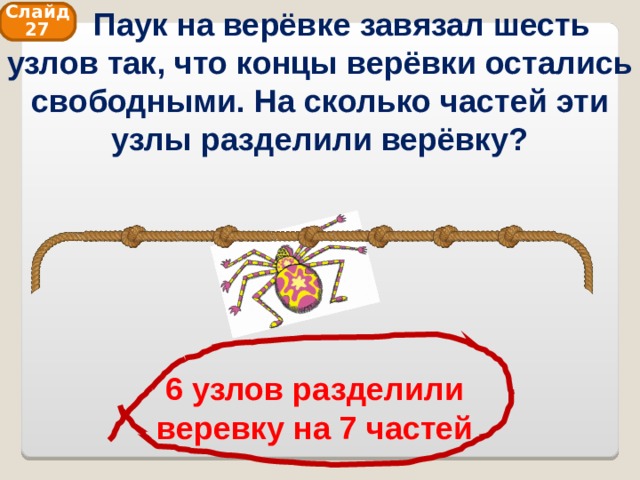  Паук на верёвке завязал шесть узлов так, что концы верёвки остались свободными. На сколько частей эти узлы разделили верёвку? Слайд 27 6 узлов разделили веревку на 7 частей 