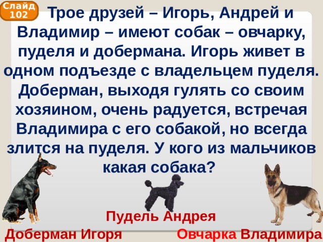  Трое друзей – Игорь, Андрей и Владимир – имеют собак – овчарку, пуделя и добермана. Игорь живет в одном подъезде с владельцем пуделя. Доберман, выходя гулять со своим хозяином, очень радуется, встречая Владимира с его собакой, но всегда злится на пуделя. У кого из мальчиков какая собака? Слайд 102 Пудель Андрея Доберман Игоря Овчарка Владимира 