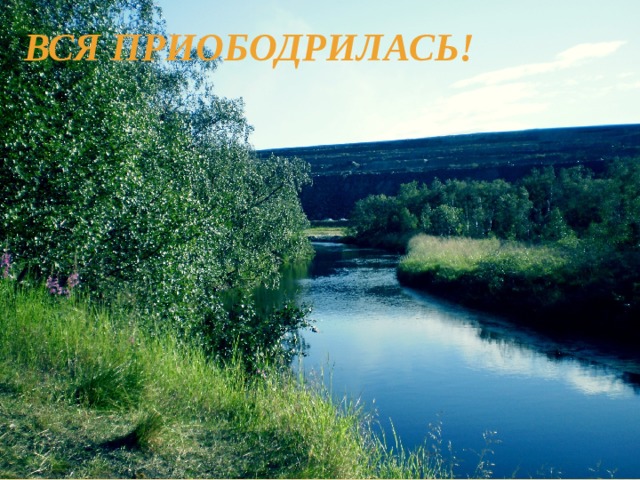 Вся приободрилась! 