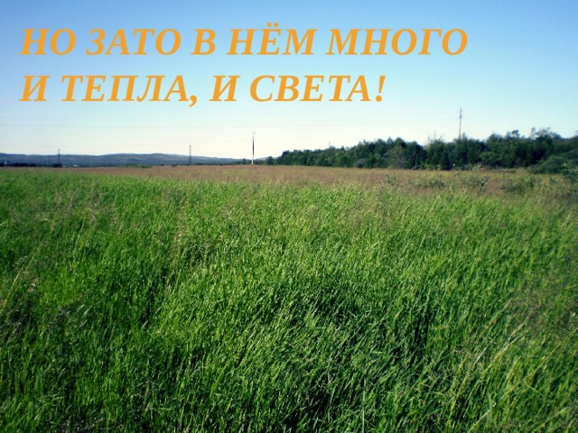 Но зато в нём много И тепла, и света! 