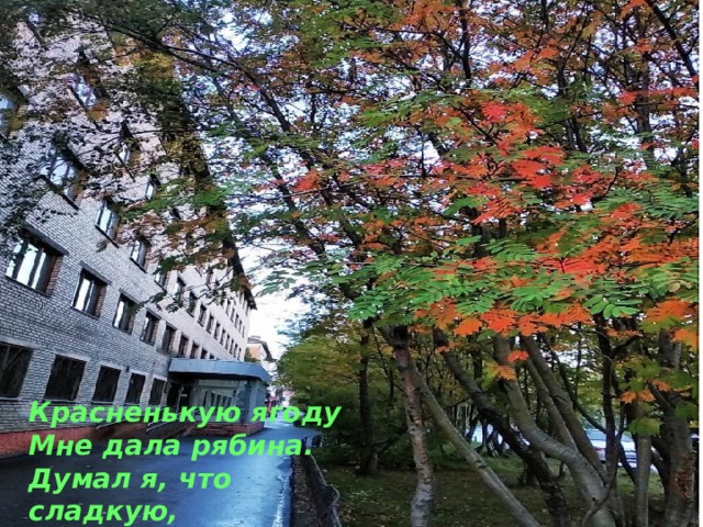 Красненькую ягоду Мне дала рябина. Думал я, что сладкую, А она — как хина. 