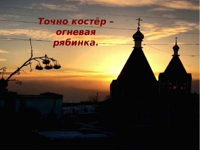 Точно костёр – огневая рябинка.  