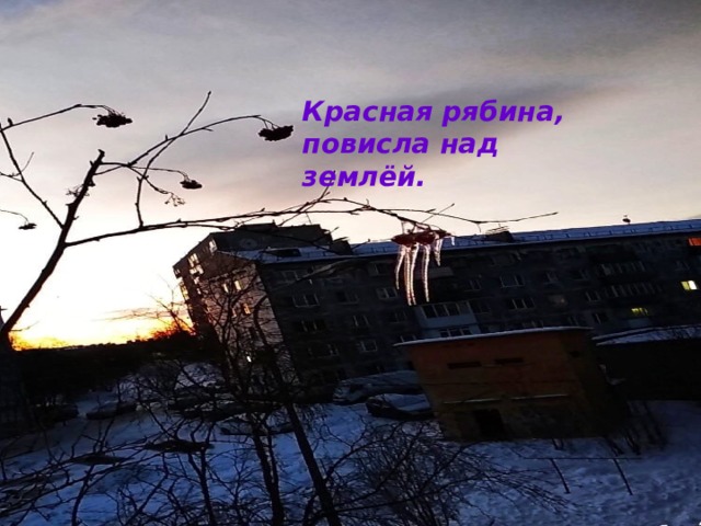Рябина украшает каждый сад. Как радость, восстающая из тягот, На ней прохладно-кожисты висят Тяжелые соплодья крупных ягод Красная рябина, повисла над землёй. 