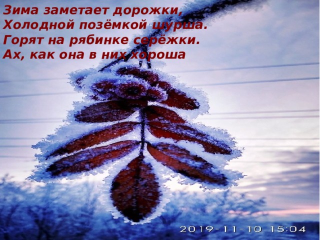 Зима заметает дорожки, Холодной позёмкой шурша. Горят на рябинке серёжки. Ах, как она в них хороша 