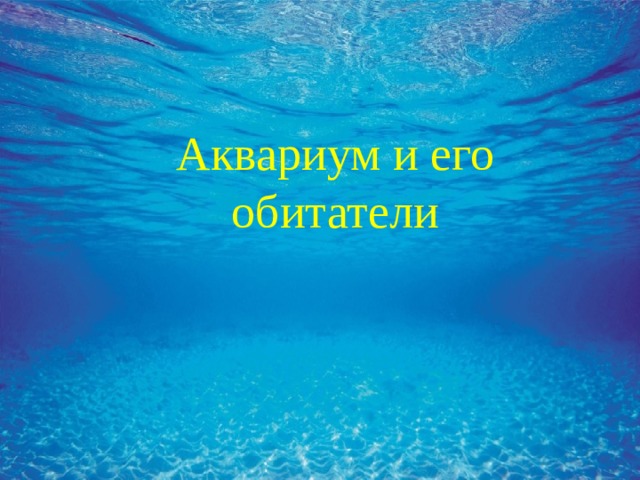 Аквариум и его обитатели  