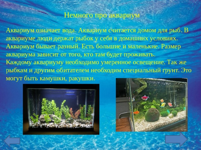 Немного про аквариум Аквариум означает вода. Аквариум считается домом для рыб. В аквариуме люди держат рыбок у себя в домашних условиях. Аквариум бывает разный. Есть большие и маленькие. Размер аквариума зависит от того, кто там будет проживать. Каждому аквариуму необходимо умеренное освещение. Так же рыбкам и другим обитателем необходим специальный грунт. Это могут быть камушки, ракушки.  