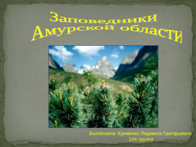 Выполнила: Кривенко Людмила Григорьевна 144 группа 