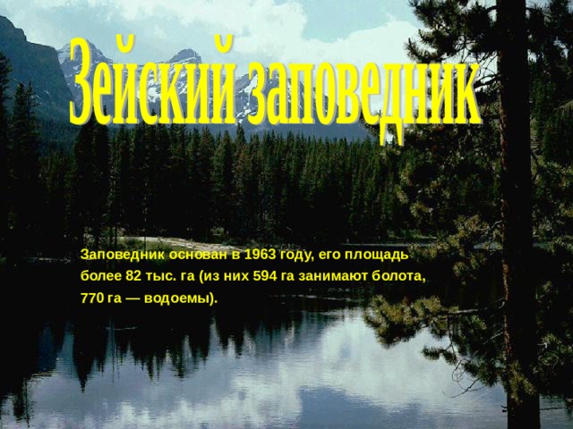 Заповедник основан в 1963 году, его площадь более 82 тыс. га (из них 594 га занимают болота, 770 га — водоемы). 