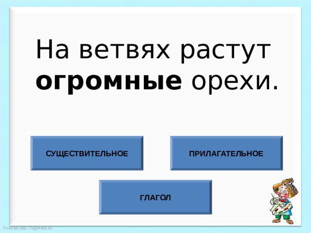 На ветвях растут  огромные орехи. СУЩЕСТВИТЕЛЬНОЕ ПРИЛАГАТЕЛЬНОЕ ГЛАГОЛ 