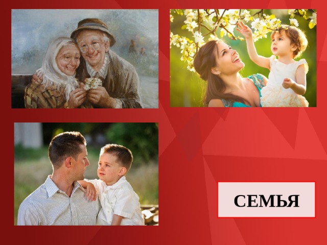 СЕМЬЯ 