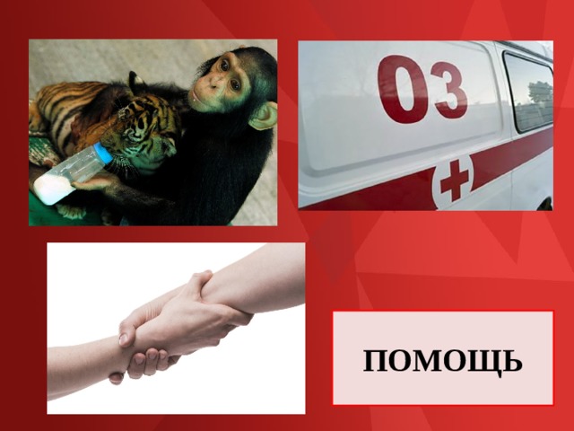 ПОМОЩЬ 