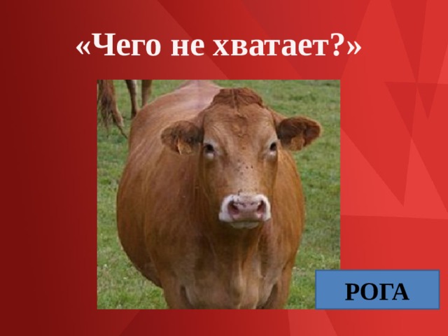 «Чего не хватает?» РОГА 