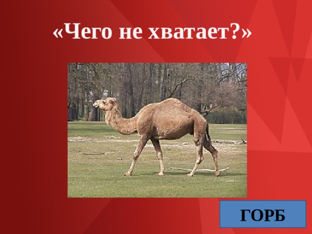 «Чего не хватает?» ГОРБ 