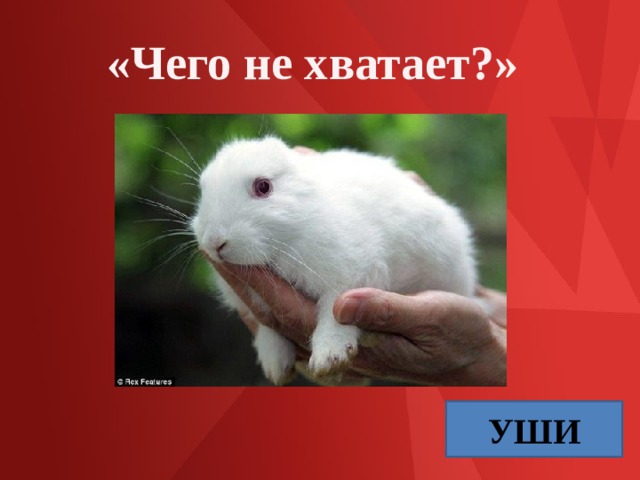 «Чего не хватает?» УШИ 