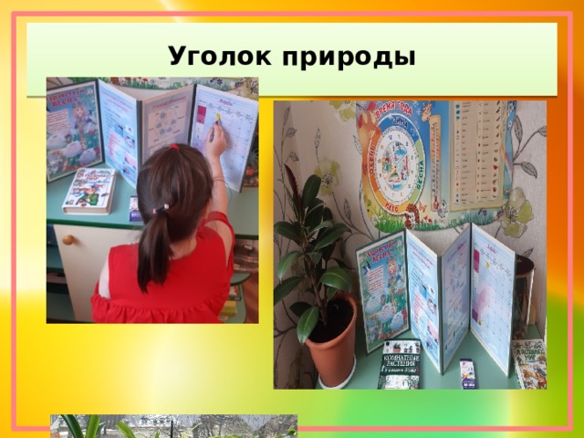 Уголок природы 