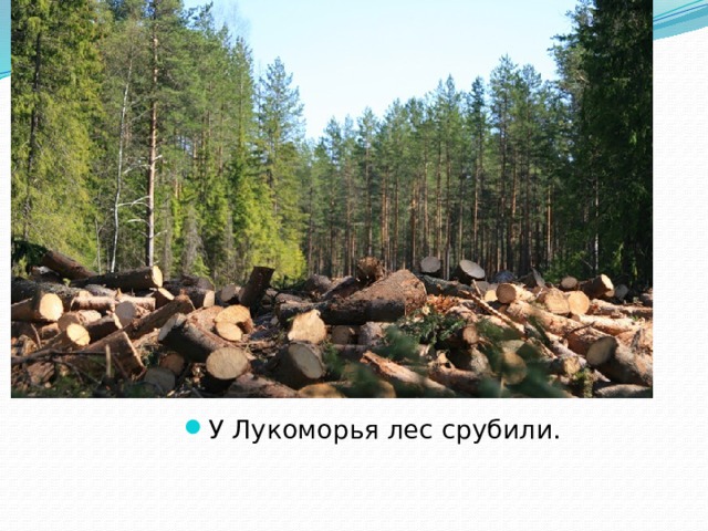 У Лукоморья лес срубили. 