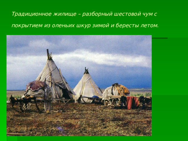 Традиционное жилище – разборный шестовой чум с покрытием из оленьих шкур зимой и бересты летом.  