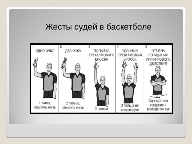 Жесты судей в баскетболе 