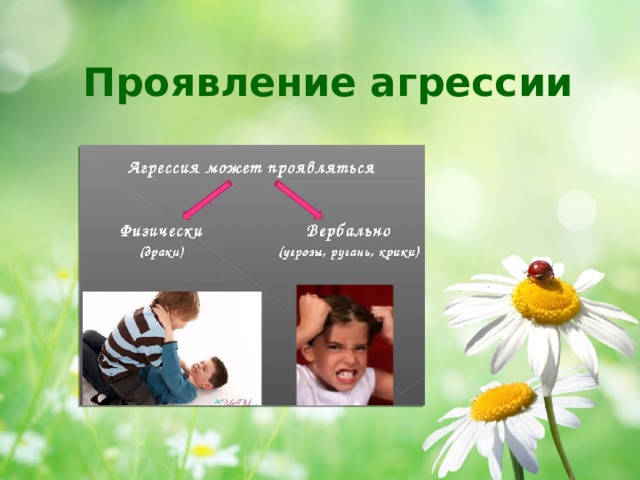 Проявление агрессии 