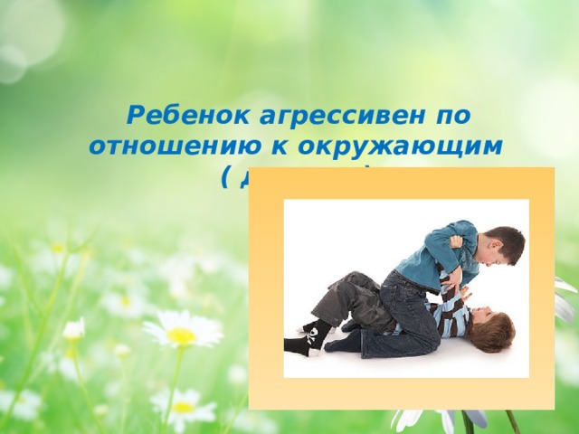  Ребенок агрессивен по отношению к окружающим ( дерется)  
