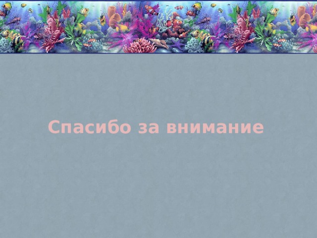 Спасибо за внимание 