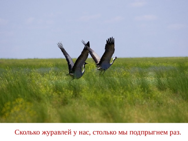 Сколько журавлей у нас, столько мы подпрыгнем раз. 