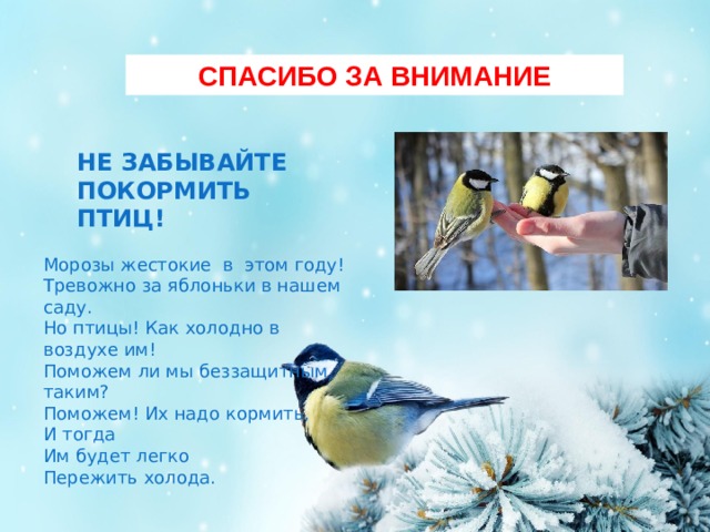 СПАСИБО ЗА ВНИМАНИЕ НЕ ЗАБЫВАЙТЕ ПОКОРМИТЬ ПТИЦ! Морозы жестокие в этом году!  Тревожно за яблоньки в нашем саду. Но птицы! Как холодно в воздухе им!  Поможем ли мы беззащитным таким? Поможем! Их надо кормить,  И тогда  Им будет легко  Пережить холода. 