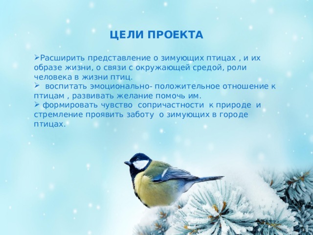 ЦЕЛИ ПРОЕКТА  Расширить представление о зимующих птицах , и их образе жизни, о связи с окружающей средой, роли человека в жизни птиц.  воспитать эмоционально- положительное отношение к птицам , развивать желание помочь им.  формировать чувство сопричастности к природе и стремление проявить заботу о зимующих в городе птицах. 