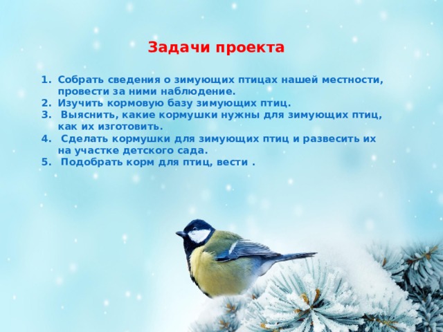 Задачи проекта Собрать сведения о зимующих птицах нашей местности, провести за ними наблюдение. Изучить кормовую базу зимующих птиц.  Выяснить, какие кормушки нужны для зимующих птиц, как их изготовить.  Сделать кормушки для зимующих птиц и развесить их на участке детского сада.  Подобрать корм для птиц, вести . 