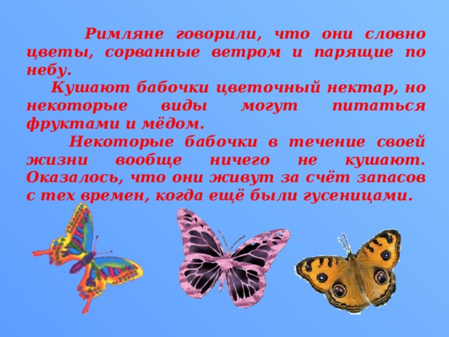  Римляне говорили, что они словно цветы, сорванные ветром и парящие по небу.  Кушают бабочки цветочный нектар, но некоторые виды могут питаться фруктами и мёдом.  Некоторые бабочки в течение своей жизни вообще ничего не кушают. Оказалось, что они живут за счёт запасов с тех времен, когда ещё были гусеницами. 