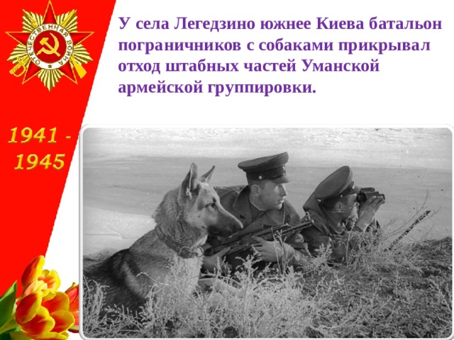 У села Легедзино южнее Киева батальон пограничников с собаками прикрывал отход штабных частей Уманской армейской группировки.   